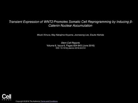 Transient Expression of WNT2 Promotes Somatic Cell Reprogramming by Inducing β- Catenin Nuclear Accumulation  Mizuki Kimura, May Nakajima-Koyama, Joonseong.