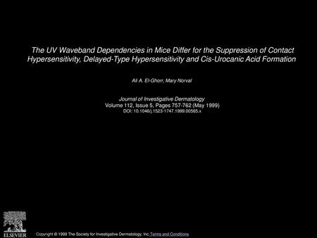 The UV Waveband Dependencies in Mice Differ for the Suppression of Contact Hypersensitivity, Delayed-Type Hypersensitivity and Cis-Urocanic Acid Formation 