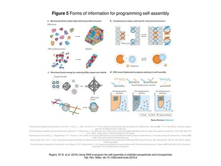 Figure 5 Forms of information for programming self-assembly