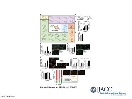 Hironori Hara et al. BTS 2018;3: