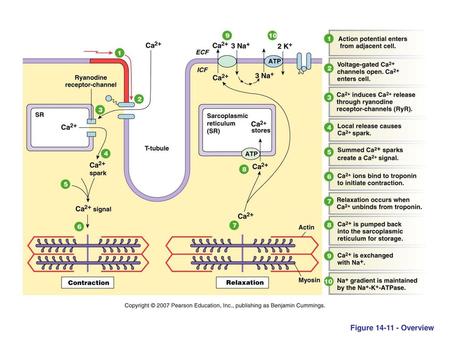 Figure 14-11 - Overview.