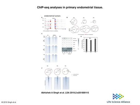 ChIP-seq analyses in primary endometrial tissue.