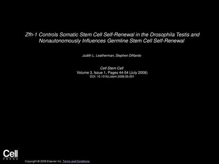 Zfh-1 Controls Somatic Stem Cell Self-Renewal in the Drosophila Testis and Nonautonomously Influences Germline Stem Cell Self-Renewal  Judith L. Leatherman,