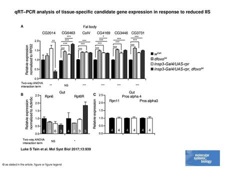 QRT–PCR analysis of tissue‐specific candidate gene expression in response to reduced IIS qRT–PCR analysis of tissue‐specific candidate gene expression.