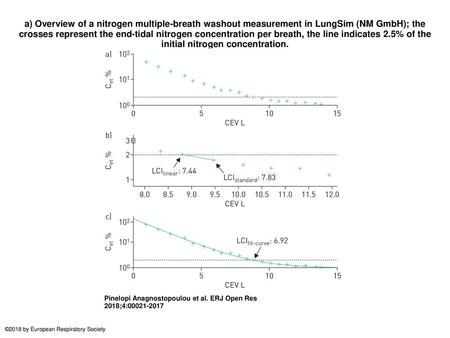 A) Overview of a nitrogen multiple-breath washout measurement in LungSim (NM GmbH); the crosses represent the end-tidal nitrogen concentration per breath,