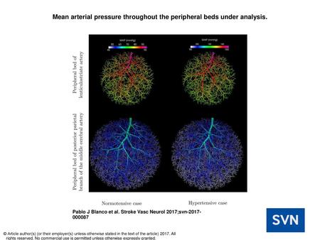 Mean arterial pressure throughout the peripheral beds under analysis.