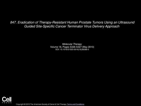 847. Eradication of Therapy-Resistant Human Prostate Tumors Using an Ultrasound Guided Site-Specific Cancer Terminator Virus Delivery Approach    Molecular.