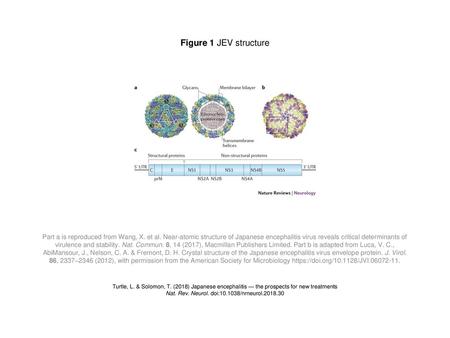 Nat. Rev. Neurol. doi: /nrneurol