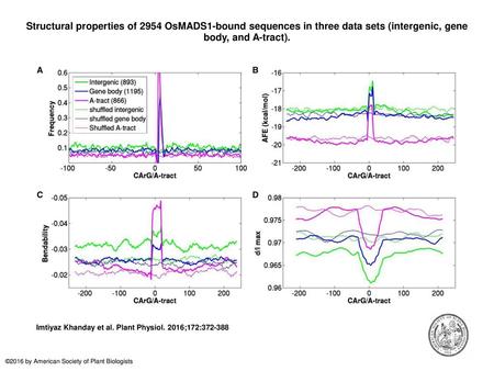 Structural properties of 2954 OsMADS1-bound sequences in three data sets (intergenic, gene body, and A-tract). Structural properties of 2954 OsMADS1-bound.