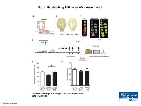 Fig. 1. Establishing SUS in an AD mouse model.