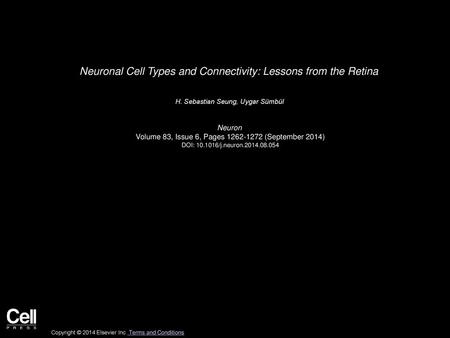 Neuronal Cell Types and Connectivity: Lessons from the Retina