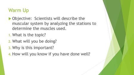 Warm Up Objective: Scientists will describe the muscular system by analyzing the stations to determine the muscles used. What is the topic? What will.