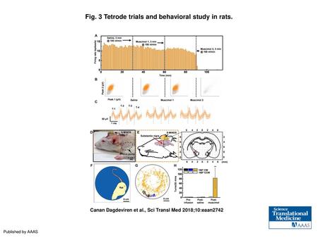 Fig. 3 Tetrode trials and behavioral study in rats.