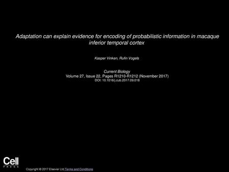 Adaptation can explain evidence for encoding of probabilistic information in macaque inferior temporal cortex  Kasper Vinken, Rufin Vogels  Current Biology 