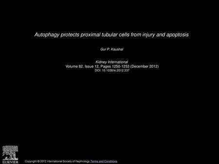 Autophagy protects proximal tubular cells from injury and apoptosis