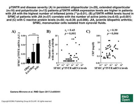 P75NTR and disease severity (A) in persistent oligoarticular (n=29), extended oligoarticular (n=16) and polyarticular (n=13) patients p75NTR mRNA expression.