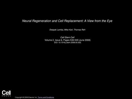 Neural Regeneration and Cell Replacement: A View from the Eye