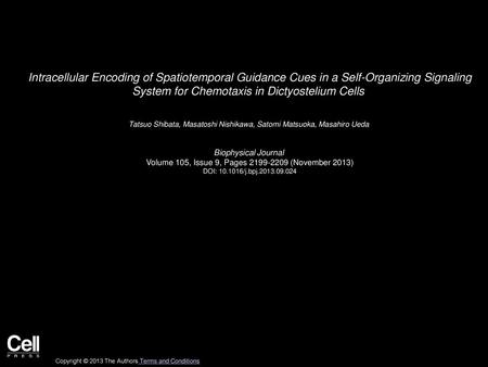 Intracellular Encoding of Spatiotemporal Guidance Cues in a Self-Organizing Signaling System for Chemotaxis in Dictyostelium Cells  Tatsuo Shibata, Masatoshi.