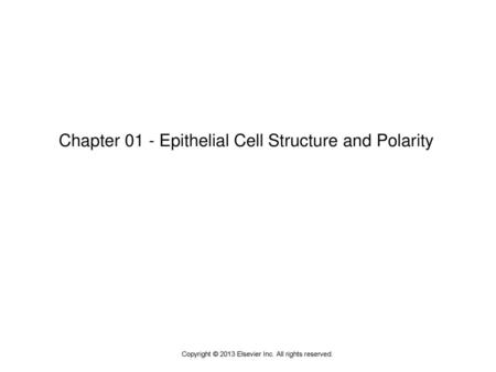 Copyright © 2013 Elsevier Inc. All rights reserved.