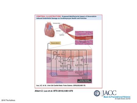 Albert Z. Luu et al. BTS 2018;3:861-870 Proposed Multifactorial Impact of Doxorubicin-Induced Endothelial Damage on Cardiomyocyte Health and Function The.