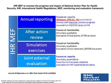 IHR MEF to oversee the progress and impact of National Action Plan for Health Security. IHR, International Health Regulations; MEF, monitoring and evaluation.