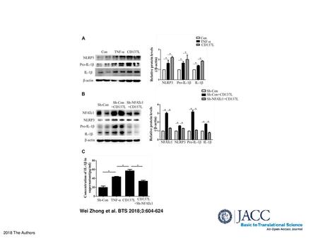 CD137/NFATc1 Axis Activated NLRP3 Inflammasome in Vascular Smooth Muscle Cells (A) Western blot and quantitative results of NLRP3, pro-IL-1β, and mature.