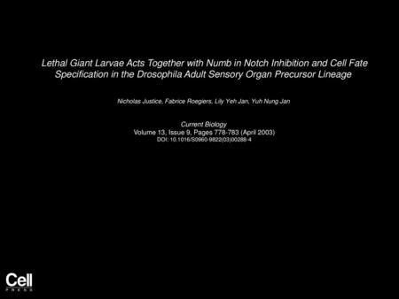 Lethal Giant Larvae Acts Together with Numb in Notch Inhibition and Cell Fate Specification in the Drosophila Adult Sensory Organ Precursor Lineage  Nicholas.