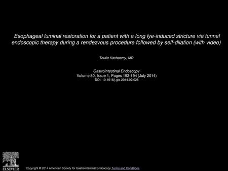 Esophageal luminal restoration for a patient with a long lye-induced stricture via tunnel endoscopic therapy during a rendezvous procedure followed by.