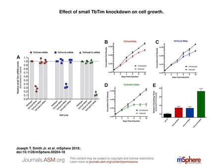 Effect of small TbTim knockdown on cell growth.