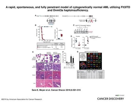 A rapid, spontaneous, and fully penetrant model of cytogenetically normal AML utilizing Flt3ITD and Dnmt3a haploinsufficiency. A rapid, spontaneous, and.