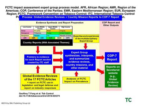 FCTC impact assessment expert group process model