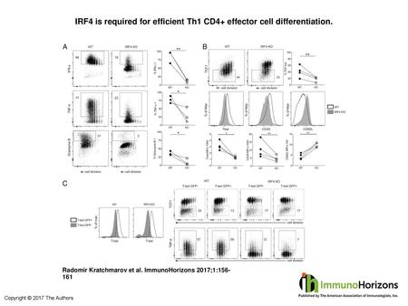 IRF4 is required for efficient Th1 CD4+ effector cell differentiation.