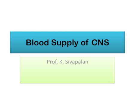 Blood Supply of CNS Prof. K. Sivapalan.