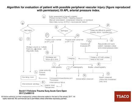 Algorithm for evaluation of patient with possible peripheral vascular injury (figure reproduced with permission).19 API, arterial pressure index. Algorithm.