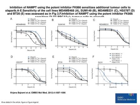 Inhibition of NAMPT using the potent inhibitor FK866 sensitizes additional tumour cells to olaparib.A‐E.Sensitivity of the cell lines MDAMB468 (A), SUM149.