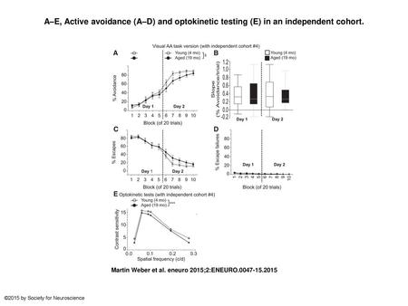 A–E, Active avoidance (A–D) and optokinetic testing (E) in an independent cohort. A–E, Active avoidance (A–D) and optokinetic testing (E) in an independent.