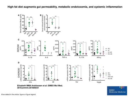 High‐fat diet augments gut permeability, metabolic endotoxemia, and systemic inflammation High‐fat diet augments gut permeability, metabolic endotoxemia,