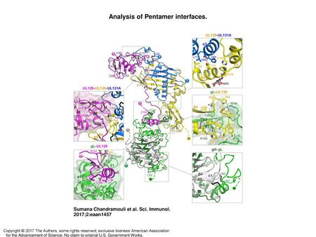 Analysis of Pentamer interfaces.