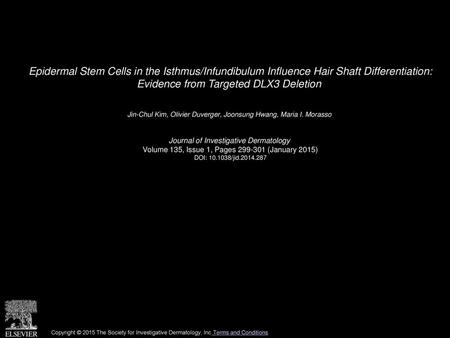 Epidermal Stem Cells in the Isthmus/Infundibulum Influence Hair Shaft Differentiation: Evidence from Targeted DLX3 Deletion  Jin-Chul Kim, Olivier Duverger,