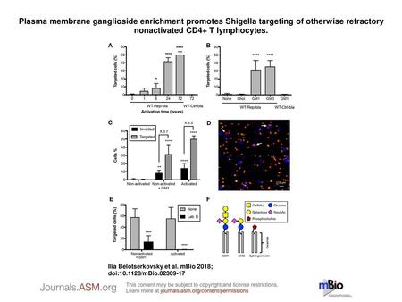 Plasma membrane ganglioside enrichment promotes Shigella targeting of otherwise refractory nonactivated CD4+ T lymphocytes. Plasma membrane ganglioside.