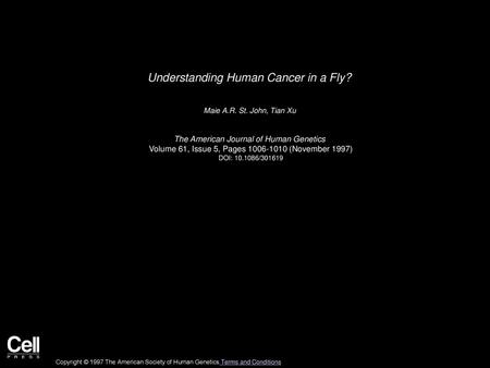 Understanding Human Cancer in a Fly?