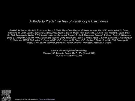 A Model to Predict the Risk of Keratinocyte Carcinomas