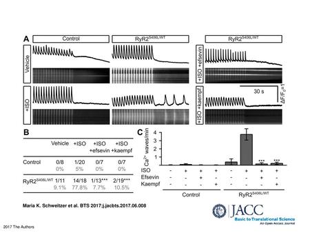 Maria K. Schweitzer et al. BTS 2017;j.jacbts