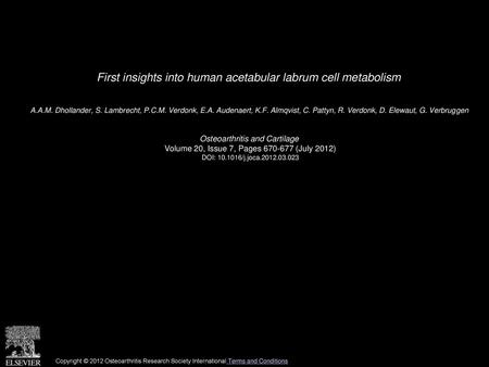 First insights into human acetabular labrum cell metabolism