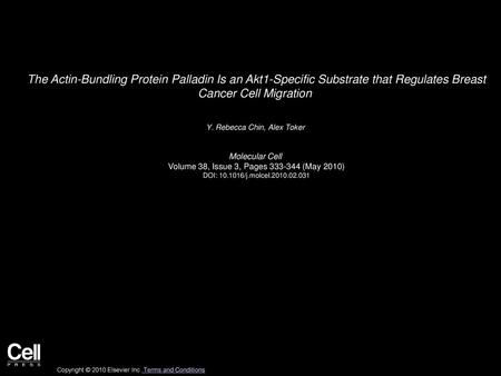 The Actin-Bundling Protein Palladin Is an Akt1-Specific Substrate that Regulates Breast Cancer Cell Migration  Y. Rebecca Chin, Alex Toker  Molecular.