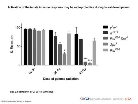 Activation of the innate immune response may be radioprotective during larval development. Activation of the innate immune response may be radioprotective.