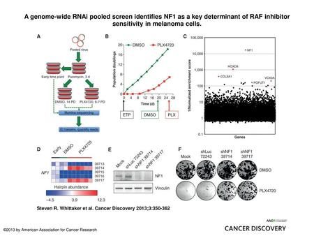 A genome-wide RNAi pooled screen identifies NF1 as a key determinant of RAF inhibitor sensitivity in melanoma cells. A genome-wide RNAi pooled screen identifies.