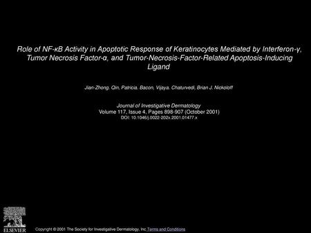 Role of NF-κB Activity in Apoptotic Response of Keratinocytes Mediated by Interferon-γ, Tumor Necrosis Factor-α, and Tumor-Necrosis-Factor-Related Apoptosis-Inducing.