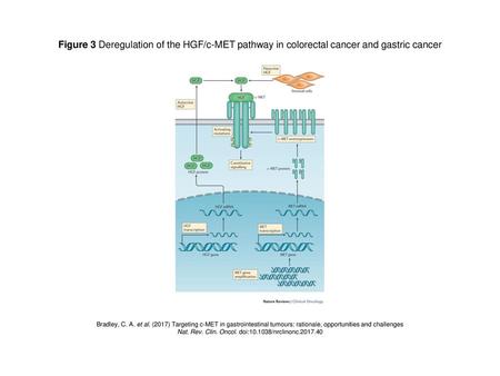 Nat. Rev. Clin. Oncol. doi: /nrclinonc