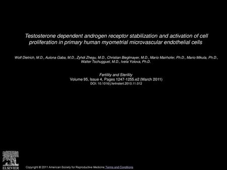 Testosterone dependent androgen receptor stabilization and activation of cell proliferation in primary human myometrial microvascular endothelial cells 